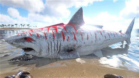 The Golden Striped Megalodon is an X-Creature in ARK: Survival Evolved's Expansion Pack Genesis: Part 1. It waits until you go in the water to attack just like the normal Megalodon. It is a golden-gray shark. It has golden striped teeth. This section displays the Golden Striped Megalodon's natural colors and regions. For …